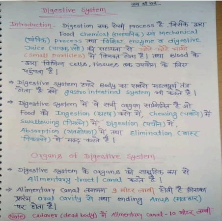 Digestive system.pdf Jitendra bhargav slideshare.com