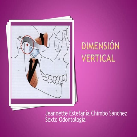 Dimension vertical oclusión