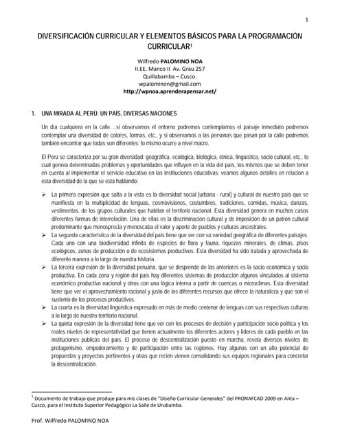 Diversificación curricular y elementos básicos para la programación curricular