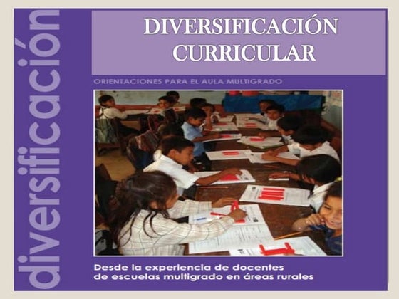 Diversificacion curricular