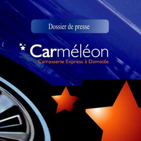 Service Express Pour la Réparation Automobile et de la Peinture