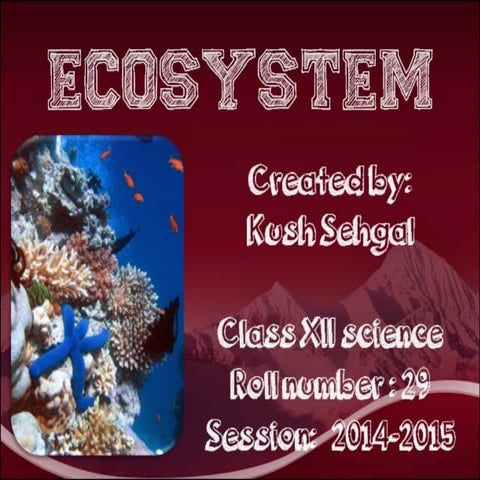 Ecosystem | class 12 | cbse