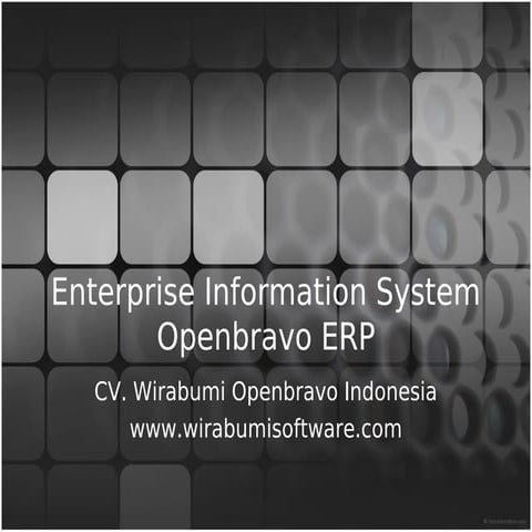 Openbravo ERP Overview