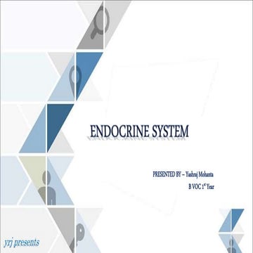 Endocrine system