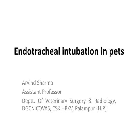 Endotracheal intubation in pets
