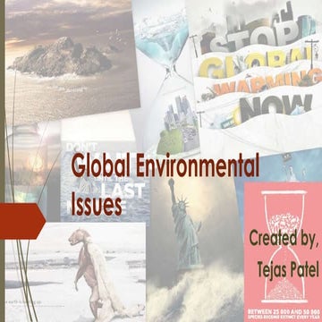 Global environmental issues