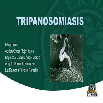 expocicion tripanosomiasis.pptx