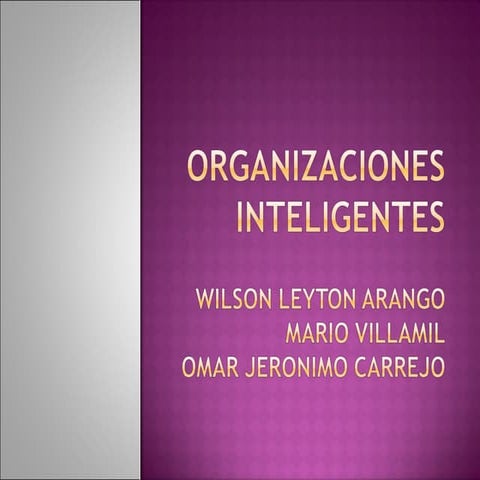 ORGANIZACIÓN INTELIGENTE