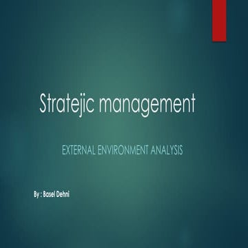 external environment by basel dehni (1).pptx