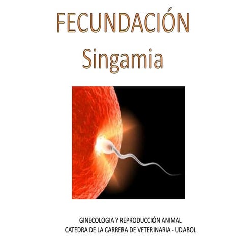 Fecundación.udabol