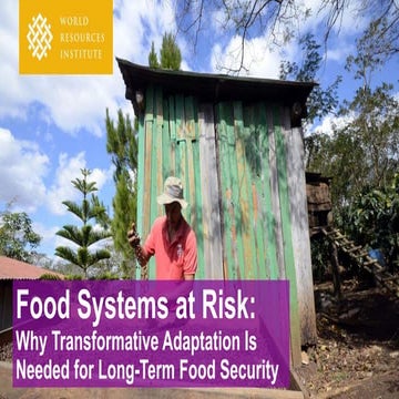 Food Systems at Risk: Why Transformative Adaptation is Needed for Long-Term F...