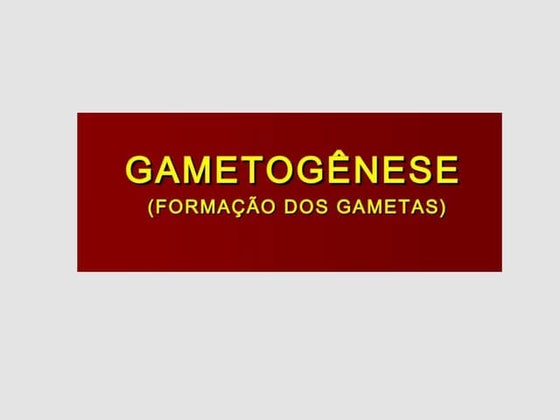Gametogenese