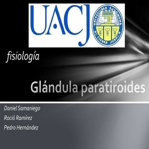  Glándula paratiroides