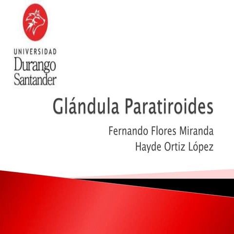 Glándula paratiroides