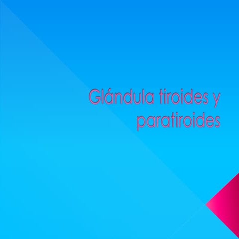 Glándula Tiroides y Paratiroides