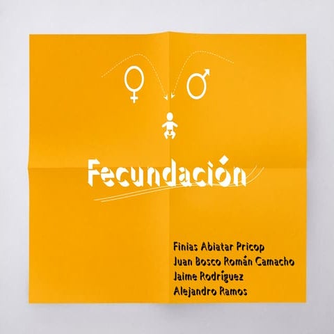 Grupo 4 Fecundación