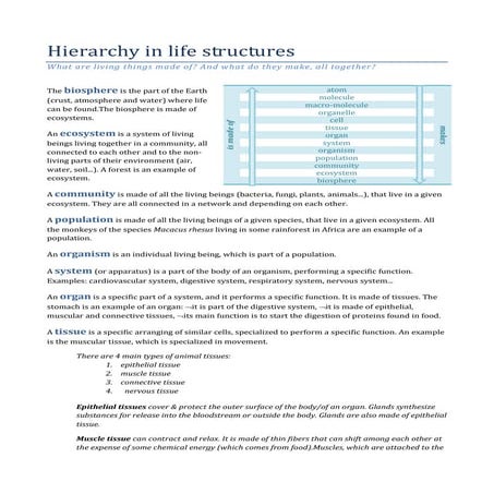 Hierarchy in life structures (text, 2nd version)