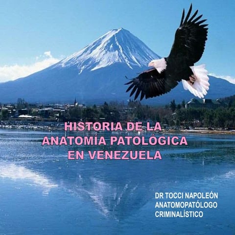 Historia de a.patológica