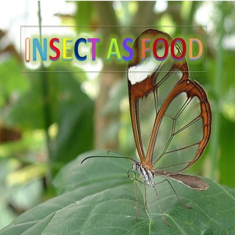 Insect as food 