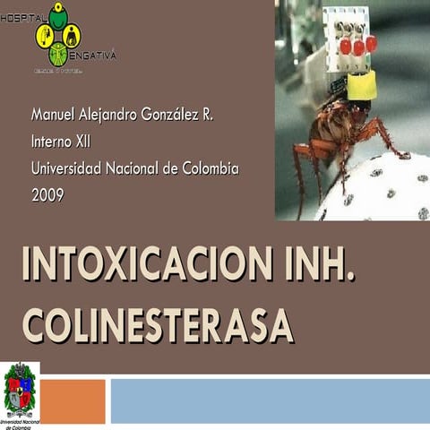 Intoxicacion Inhibidores Colinesterasa