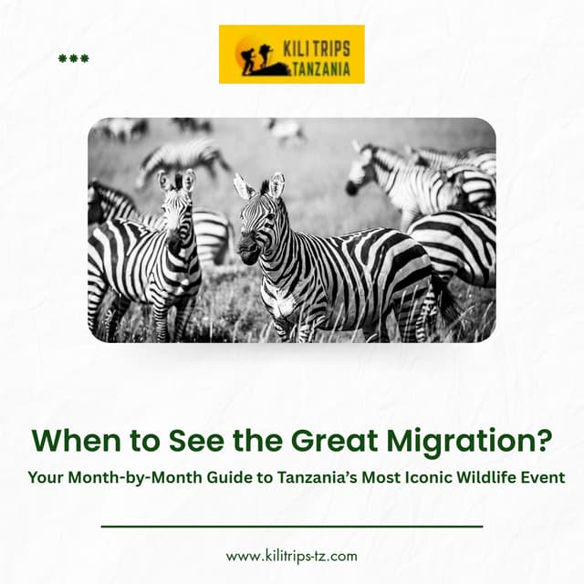 kilitrip pdf When to See the Great Migration.pdf
