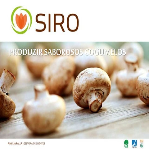  Produza saborosos cogumelos em casa