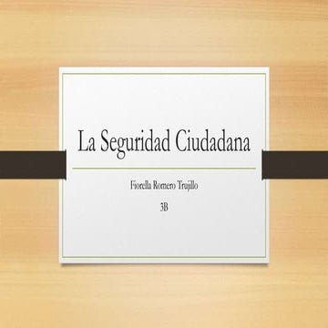 La seguridad ciudadana ppt
