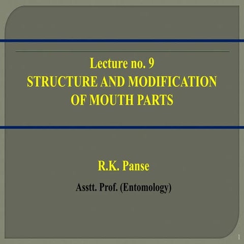 Lec. 9 Structure and modifications of mouth parts.ppt