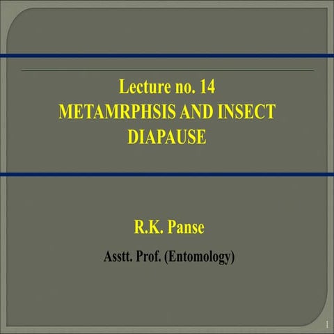 Lec. 14 Metamrphsis and types, diapause in insect.ppt