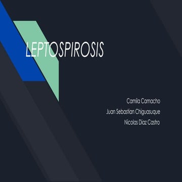 Leptospirosis