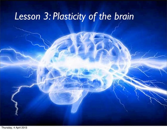 Lesson 3   plasticity rewiring of the brain 2013