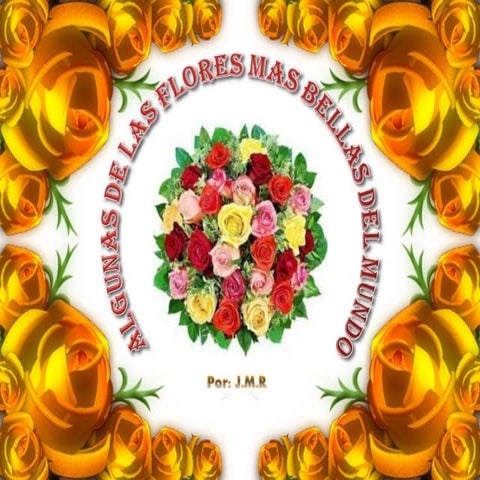 Preciosas y originales flores