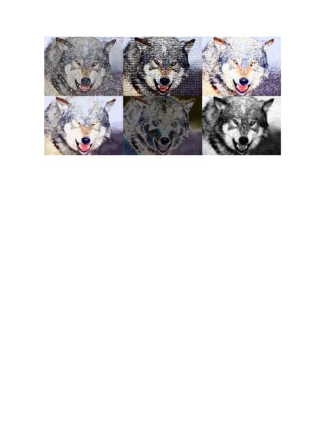 Lobos