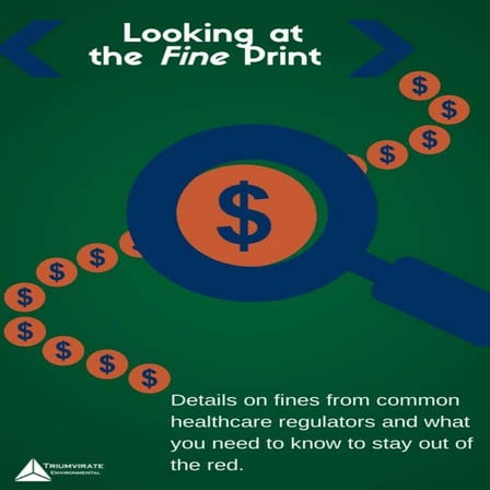 Looking at the Fine Print: Regulatory Penalty Guide