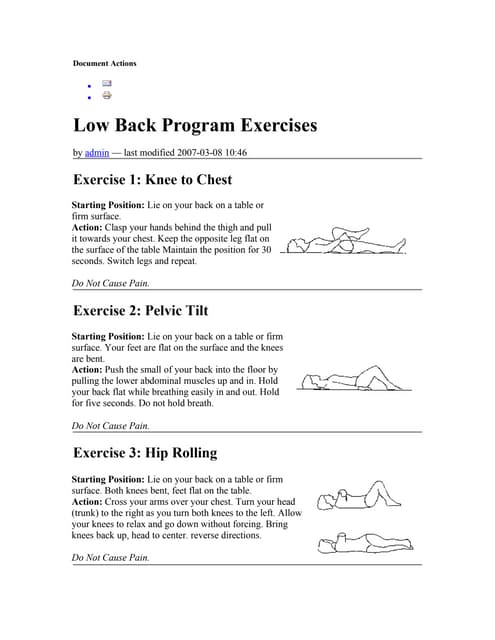 Low Back Exercise
