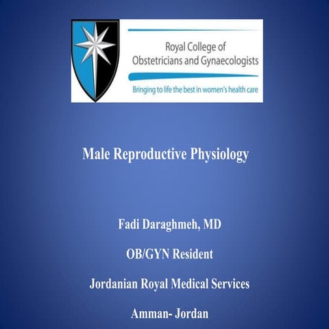 Male reproductive physiology