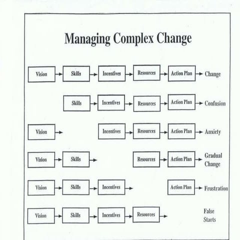 Managing Complex Change