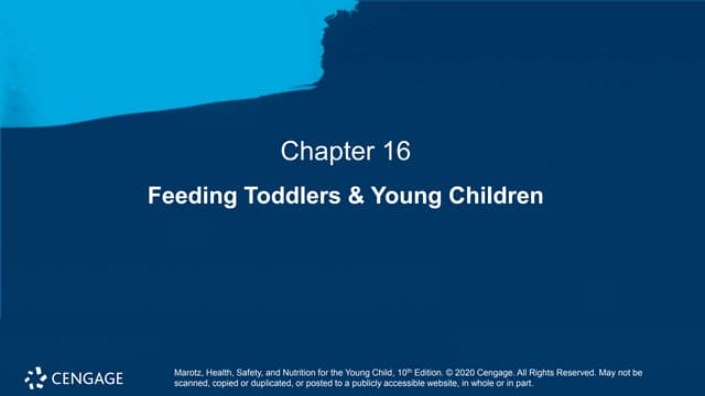 Chapter 16 Feeding Toddlers & Young Children