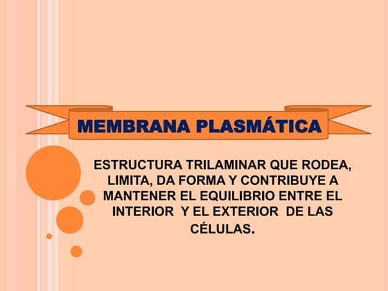 Membrana plasmática