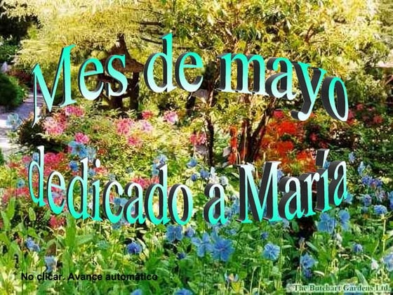Mes de maria