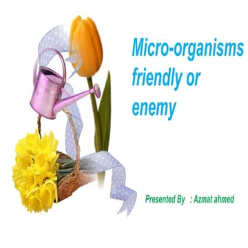 Micro organisms friendly or enemy