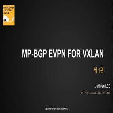 MP BGP-EVPN 실전기술-1편(개념잡기)