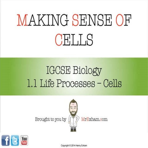 Mr Exham IGCSE Biology - Cells