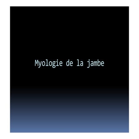 myologie de jambe et pieds anatomie et myologie