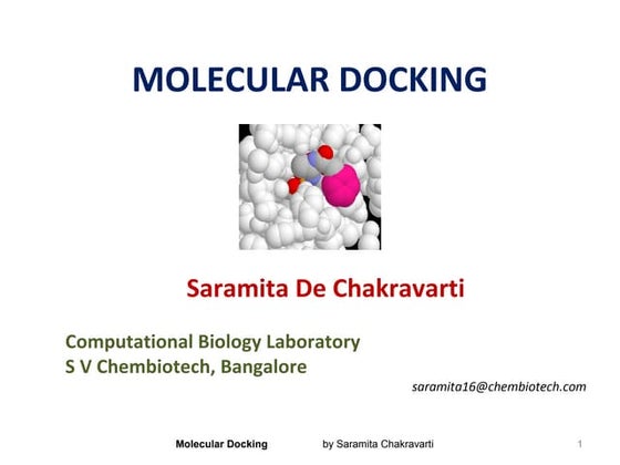 MOLECULAR DOCKING