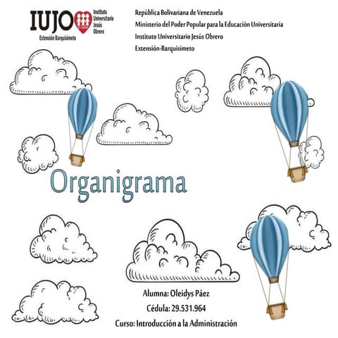 Organigrama INA 