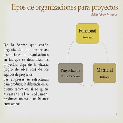 Organizaciones para proyectos y sus caracteristicas
