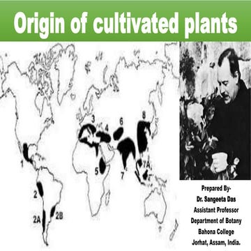 Origin of cultivated plants