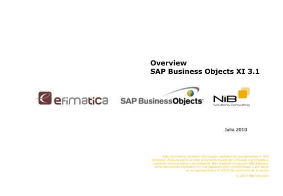 Overview sap bo girona nib efimatica