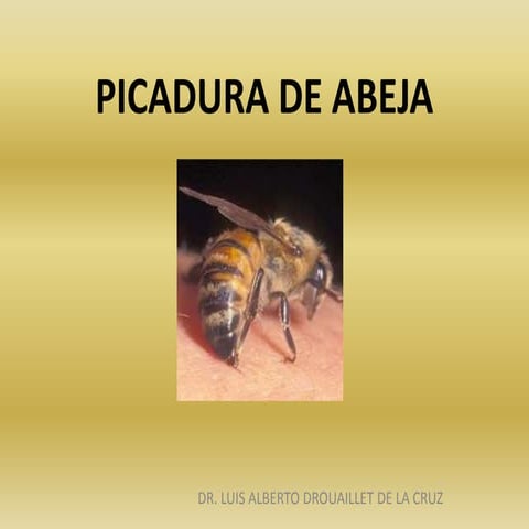 Picadura de Abeja